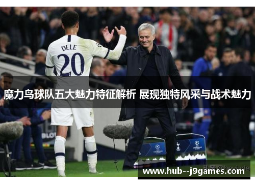 魔力鸟球队五大魅力特征解析 展现独特风采与战术魅力